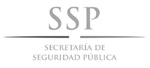Secretaría de Seguridad Pública